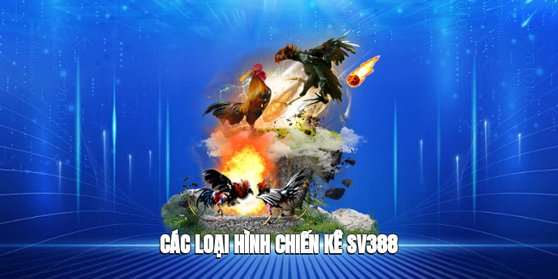 Các loại hình chiến kê SV388