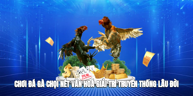 chơi đá gà chọi