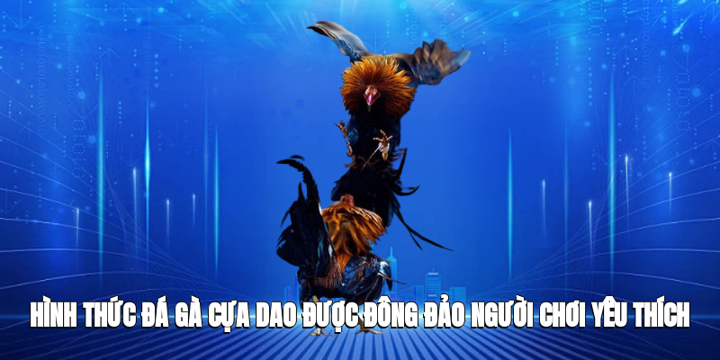 Hình thức đá gà cựa dao được đông đảo người chơi yêu thích