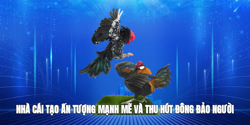 Nhà cái tạo ấn tượng mạnh mẽ và thu hút đông đảo người tham gia