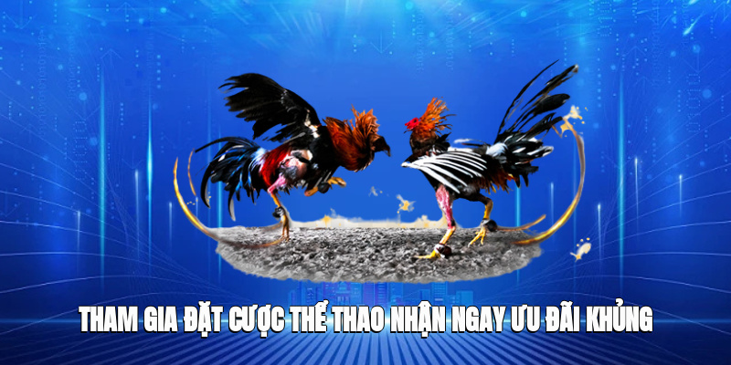 Tham gia đặt cược thể thao nhận ngay ưu đãi khủng