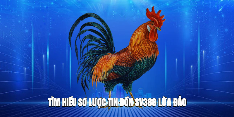 Tìm hiểu sơ lược tin đồn SV388 lừa đảo