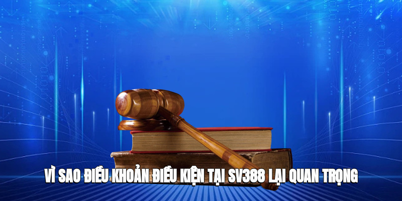 Vì sao điều khoản điều kiện tại SV388 lại quan trọng